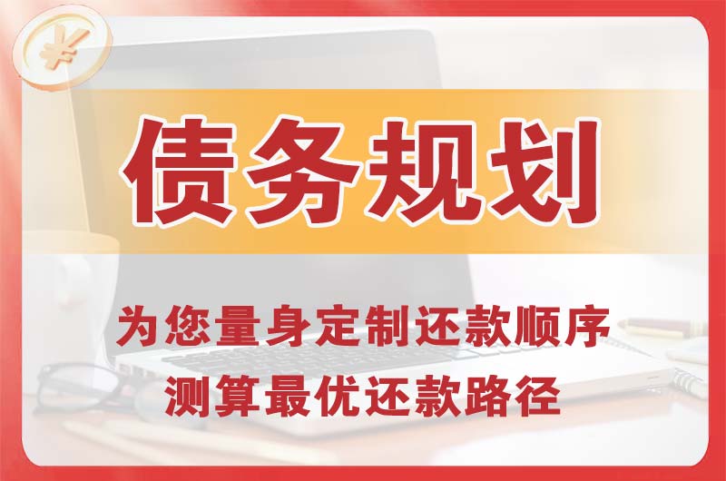 张家口债务规划